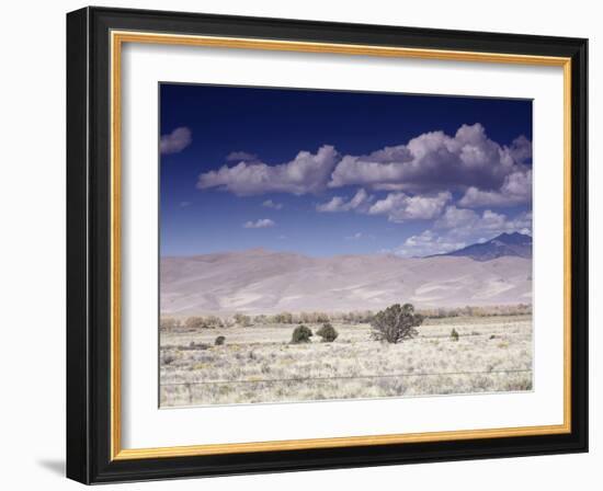 Great Sand Dunes National Monument at the Foot of the Sangre De Cristo Mountains in Colorado-Carol Highsmith-Framed Photo