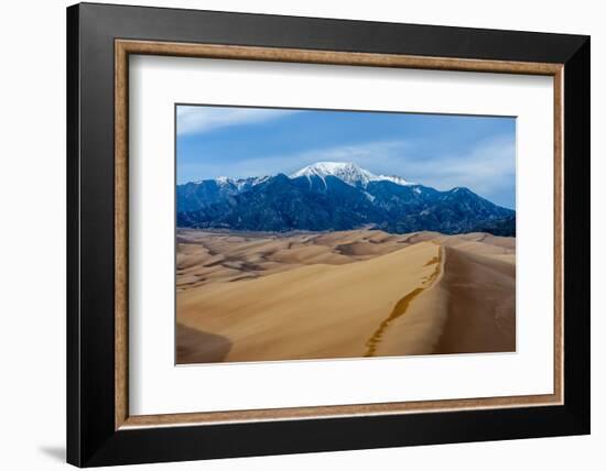 Great Sand Dunes National Park and Sangre Cristo Mountains, Colorado-Howie Garber-Framed Photographic Print