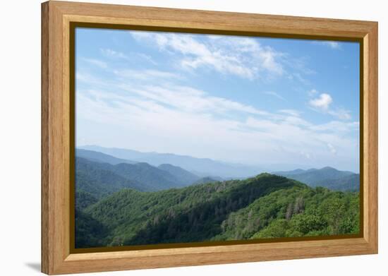 Great Smokies-Herb Dickinson-Framed Premier Image Canvas