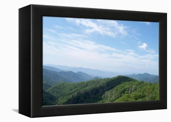 Great Smokies-Herb Dickinson-Framed Premier Image Canvas