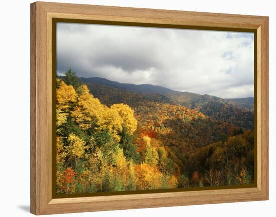 Great Smoky Mountains National Park in Autumn from Thomas Ridge, North Carolina, USA-Adam Jones-Framed Premier Image Canvas