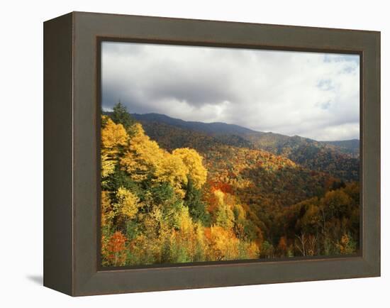 Great Smoky Mountains National Park in Autumn from Thomas Ridge, North Carolina, USA-Adam Jones-Framed Premier Image Canvas