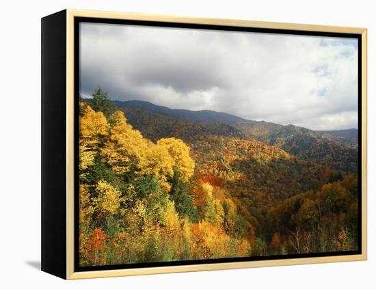 Great Smoky Mountains National Park in Autumn from Thomas Ridge, North Carolina, USA-Adam Jones-Framed Premier Image Canvas