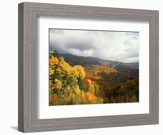 Great Smoky Mountains National Park in Autumn from Thomas Ridge, North Carolina, USA-Adam Jones-Framed Photographic Print