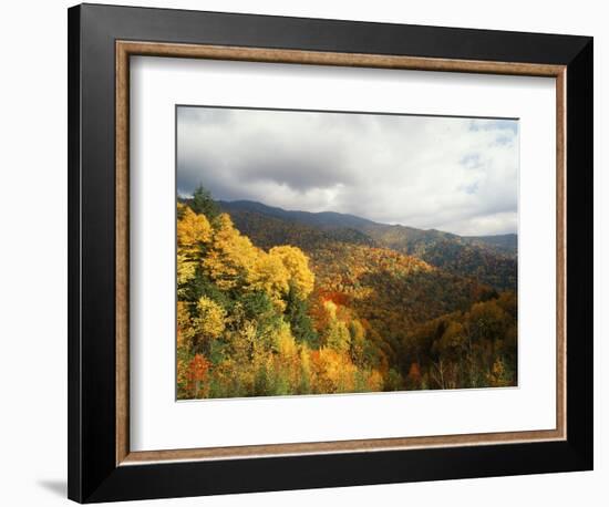 Great Smoky Mountains National Park in Autumn from Thomas Ridge, North Carolina, USA-Adam Jones-Framed Photographic Print