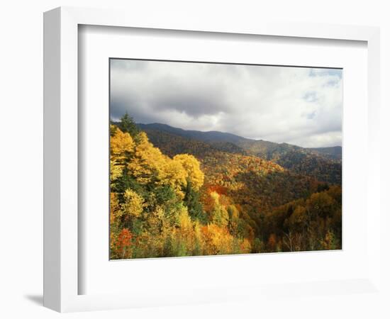 Great Smoky Mountains National Park in Autumn from Thomas Ridge, North Carolina, USA-Adam Jones-Framed Photographic Print