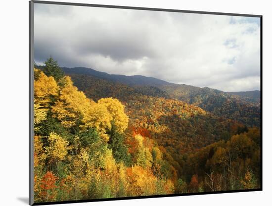 Great Smoky Mountains National Park in Autumn from Thomas Ridge, North Carolina, USA-Adam Jones-Mounted Photographic Print