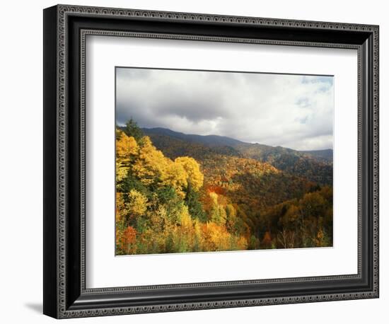 Great Smoky Mountains National Park in Autumn from Thomas Ridge, North Carolina, USA-Adam Jones-Framed Photographic Print