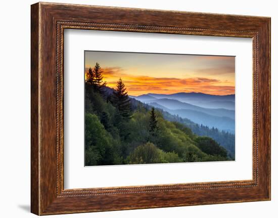 Great Smoky Mountains National Park Scenic Sunrise Landscape at Oconaluftee-daveallenphoto-Framed Premium Photographic Print