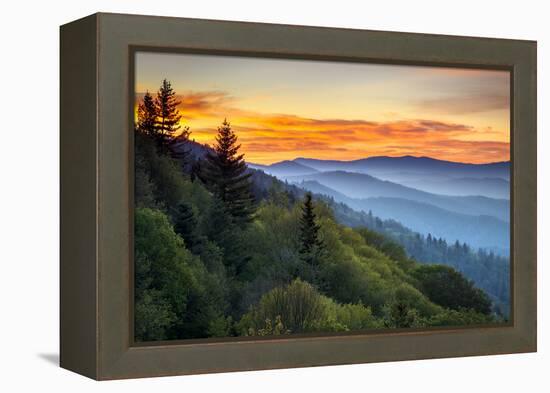 Great Smoky Mountains National Park Scenic Sunrise Landscape at Oconaluftee-daveallenphoto-Framed Premier Image Canvas