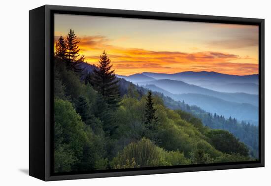 Great Smoky Mountains National Park Scenic Sunrise Landscape at Oconaluftee-daveallenphoto-Framed Premier Image Canvas
