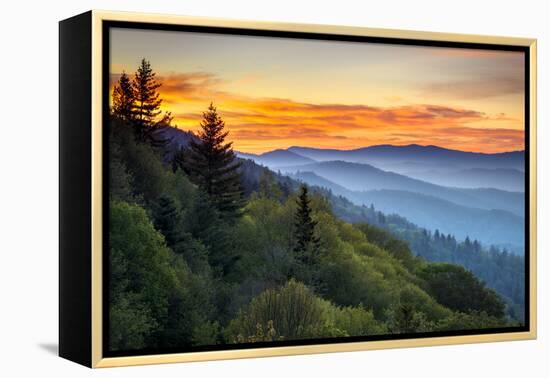 Great Smoky Mountains National Park Scenic Sunrise Landscape at Oconaluftee-daveallenphoto-Framed Premier Image Canvas