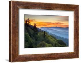 Great Smoky Mountains National Park Scenic Sunrise Landscape at Oconaluftee-daveallenphoto-Framed Photographic Print