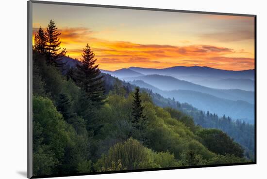 Great Smoky Mountains National Park Scenic Sunrise Landscape at Oconaluftee-daveallenphoto-Mounted Photographic Print