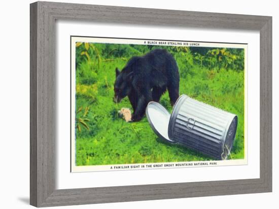 Great Smoky Mts Nat'l Park, TN - Black Bear Stealing Lunch from Trashcan-Lantern Press-Framed Art Print