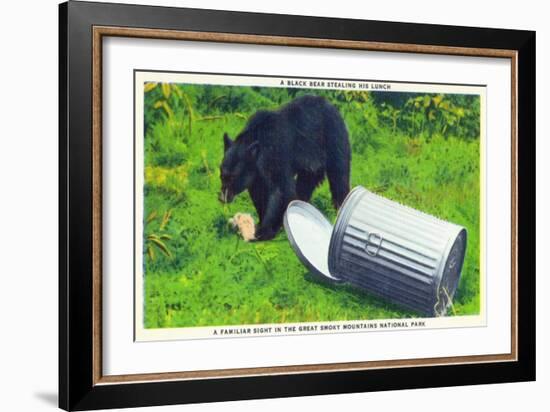 Great Smoky Mts Nat'l Park, TN - Black Bear Stealing Lunch from Trashcan-Lantern Press-Framed Art Print