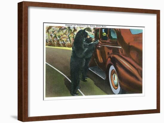 Great Smoky Mts. Nat'l Park, Tn - View of a Car Being Stopped by Native Black Bears, c.1940-Lantern Press-Framed Art Print