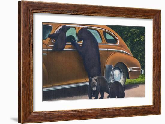 Great Smoky Mts. Nat'l Park, Tn - View of Black Bear and Cubs Looking in a Car, c.1940-Lantern Press-Framed Art Print