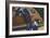 Great Smoky Mts. Nat'l Park, Tn - View of Black Bear and Cubs Looking in a Car, c.1940-Lantern Press-Framed Art Print