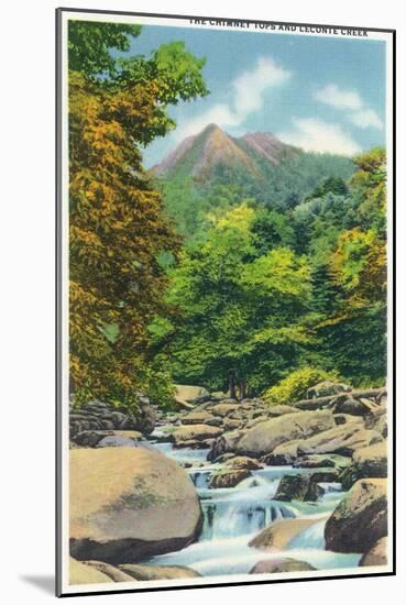 Great Smoky Mts. Nat'l Park, Tn - View of the Le Conte Creek and the Chimney Tops, c.1946-Lantern Press-Mounted Art Print