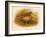 Great Snipe (Gallinago major), 1900, (1900)-Charles Whymper-Framed Giclee Print