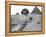 Great Sphinx and Pyramids at Giza-Bettmann-Framed Premier Image Canvas