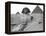 Great Sphinx and Pyramids at Giza-Bettmann-Framed Premier Image Canvas