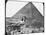 Great Sphinx of Giza, Egypt, C1890-Newton & Co-Mounted Photographic Print