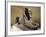 Great Sphinx of Tanis, Pink Granite-null-Framed Giclee Print