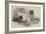 Great St Bernard Dog, Presented by the Queen to the Zoological Society-Harrison William Weir-Framed Giclee Print