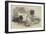 Great St Bernard Dog, Presented by the Queen to the Zoological Society-Harrison William Weir-Framed Giclee Print