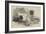 Great St Bernard Dog, Presented by the Queen to the Zoological Society-Harrison William Weir-Framed Giclee Print