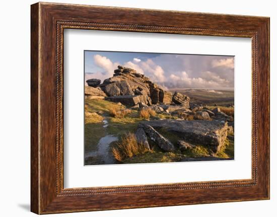 Great Staple Tor, evening light and moorland view, Dartmoor National Park, Devon, UK.-Ross Hoddinott-Framed Photographic Print