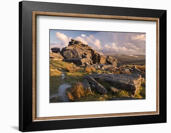 Great Staple Tor, evening light and moorland view, Dartmoor National Park, Devon, UK.-Ross Hoddinott-Framed Photographic Print