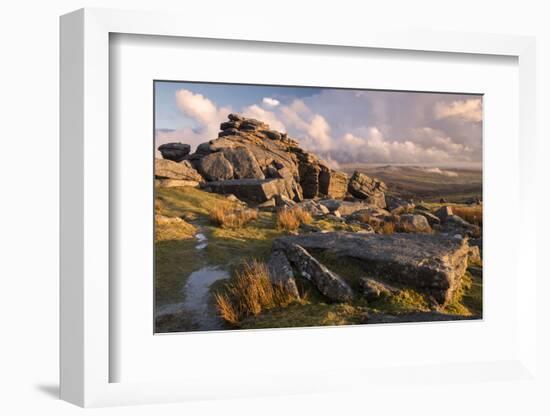 Great Staple Tor, evening light and moorland view, Dartmoor National Park, Devon, UK.-Ross Hoddinott-Framed Photographic Print