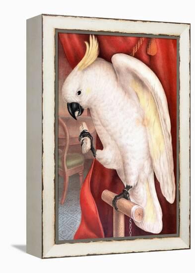 Great Sulphur-Crested Cockatoo by James Whitley Sayer-Fine Art-Framed Premier Image Canvas