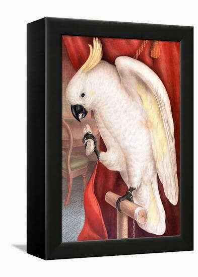 Great Sulphur-Crested Cockatoo by James Whitley Sayer-Fine Art-Framed Premier Image Canvas