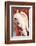 Great Sulphur-Crested Cockatoo by James Whitley Sayer-Fine Art-Framed Photographic Print