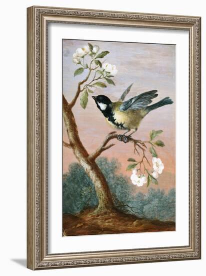 Great tit on a branch of a fruit tree-Barbara Regina Dietzsch-Framed Giclee Print