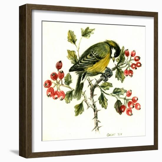 Great Tit on Hawthorn-Nell Hill-Framed Giclee Print