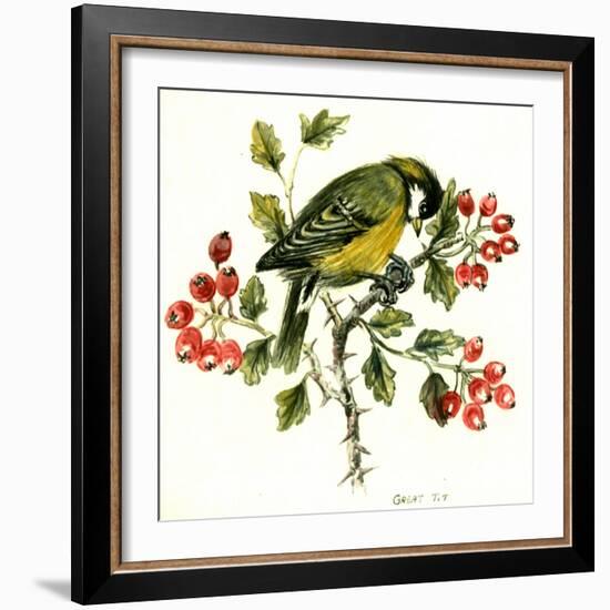 Great Tit on Hawthorn-Nell Hill-Framed Giclee Print