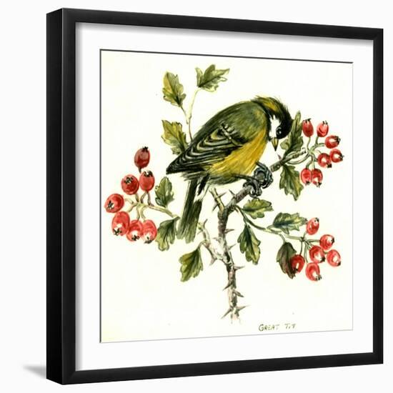 Great Tit on Hawthorn-Nell Hill-Framed Giclee Print