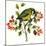 Great Tit on Hawthorn-Nell Hill-Mounted Giclee Print