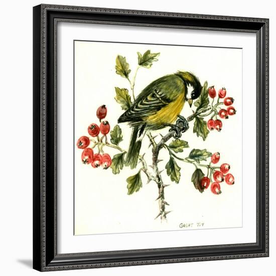 Great Tit on Hawthorn-Nell Hill-Framed Giclee Print