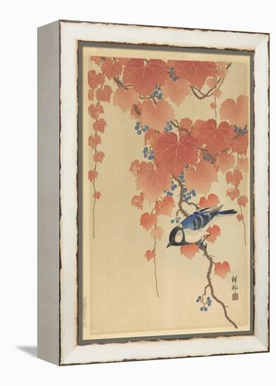 Great Tit on Paulownia Branch, 1925-36-Ohara Koson-Framed Stretched Canvas