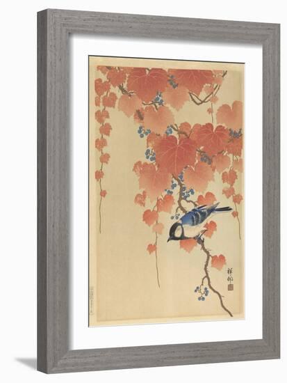 Great Tit on Paulownia Branch, 1925-36-Ohara Koson-Framed Art Print