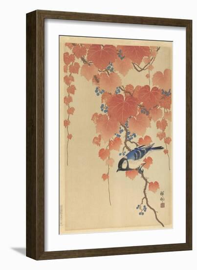 Great Tit on Paulownia Branch, 1925-36-Ohara Koson-Framed Art Print