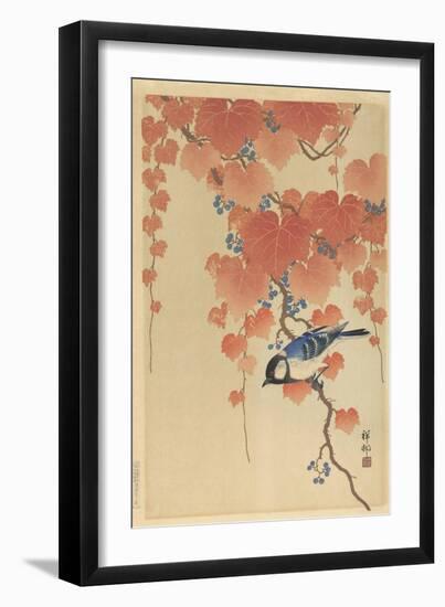 Great Tit on Paulownia Branch, 1925-36-Ohara Koson-Framed Art Print