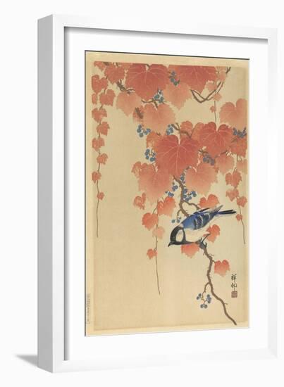 Great Tit on Paulownia Branch, 1925-36-Ohara Koson-Framed Art Print