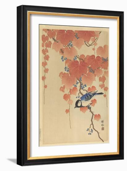 Great Tit on Paulownia Branch, 1925-36-Ohara Koson-Framed Art Print